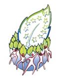 logo PROGETTO